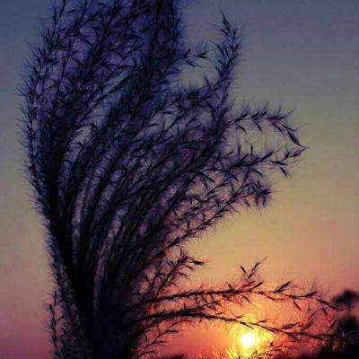 城市交通停车无敌版